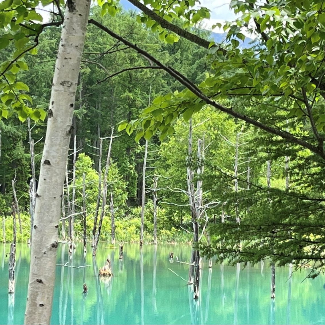 北海道旅行へ